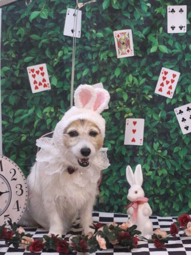 20240430こはるちゃん 